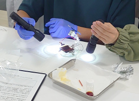 光の発電や発光に関わる体験実験に取り組むオープンキャンパス参加者