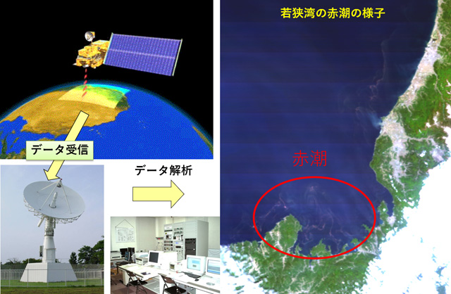 福井県の上空700キロから撮った衛星画像