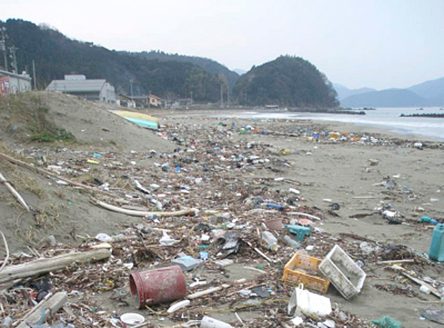福井県沿岸域の漂着ゴミ