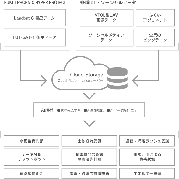 FUKUI PHOENIX PROJECT
