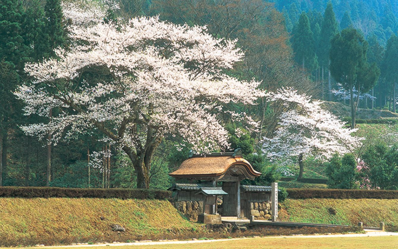 Tojinbo Photo