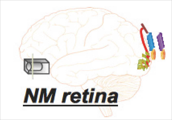 NM網膜を用いた人工視覚のデザイン