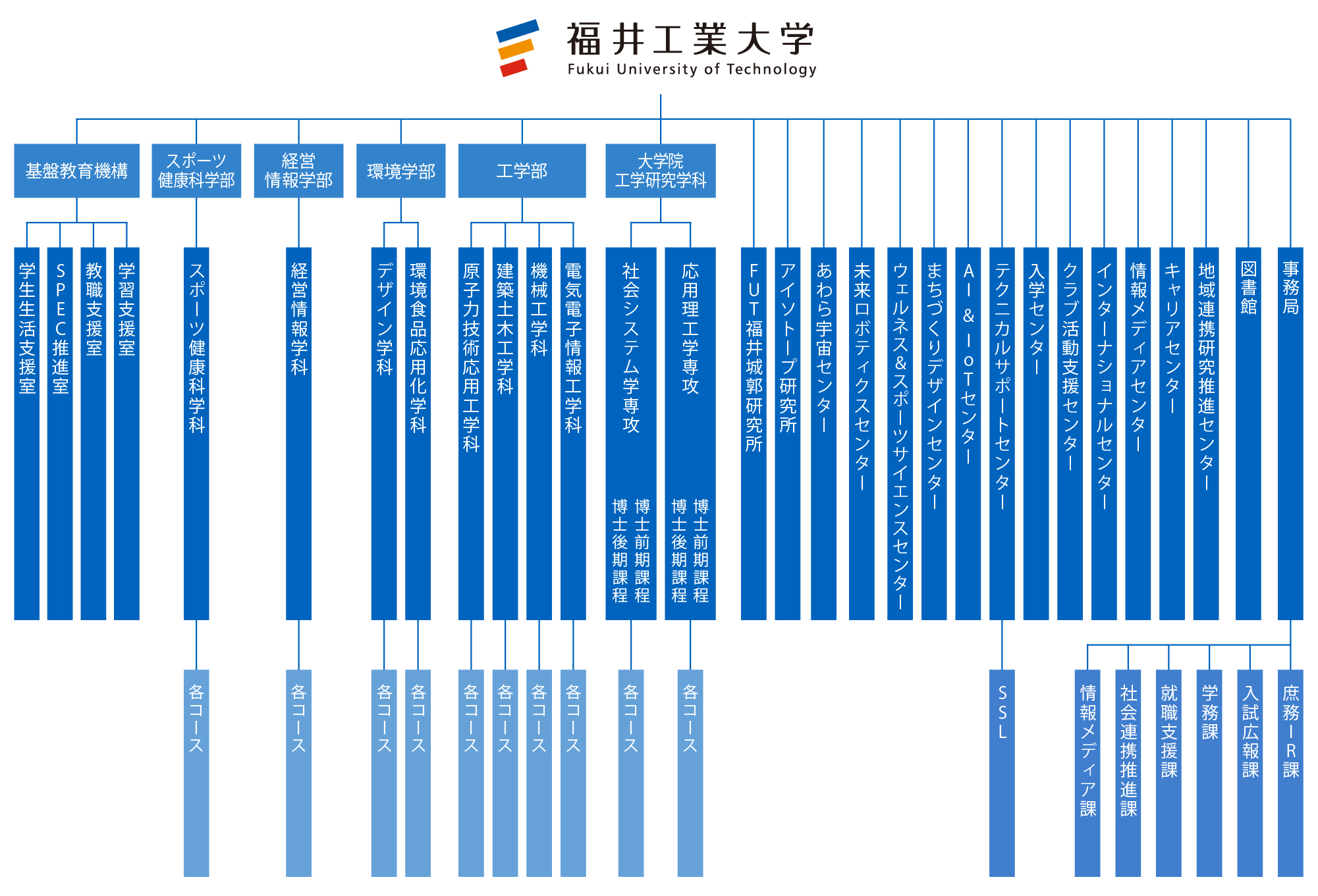 基本組織