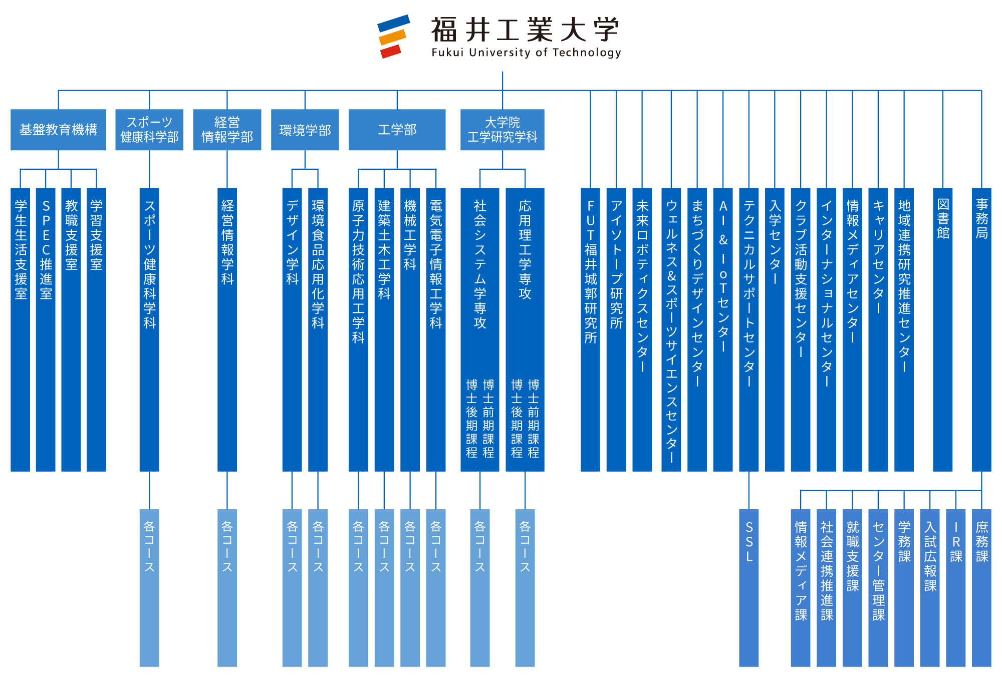 基本組織