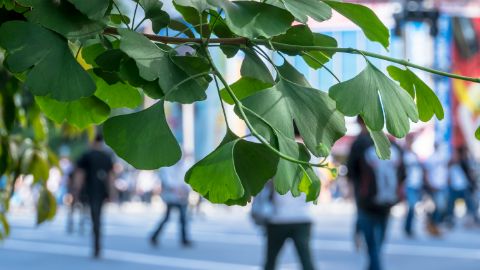 東京や大阪ではなく、私たちの町のデータで市場を発見する。