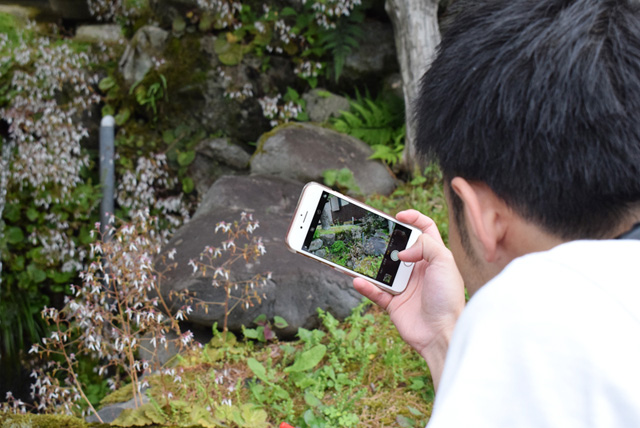 「瀬戸の青」調査風景