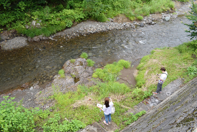 田倉川