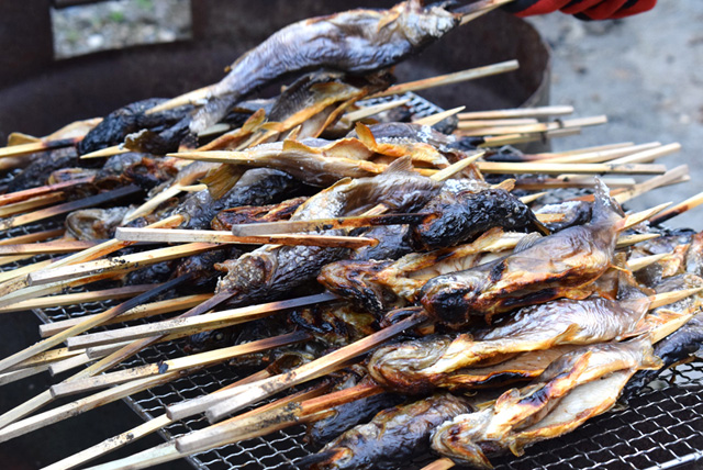 イワナ塩焼き