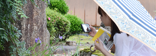 福井県南越前町瀬戸地区で「SETO BLUE（瀬戸ブルー）」現地調査を行いました